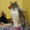 Отзыв от Любовь Федосеева